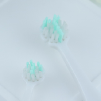 歯ブラシカラー：緑