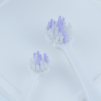 歯ブラシカラー：紫